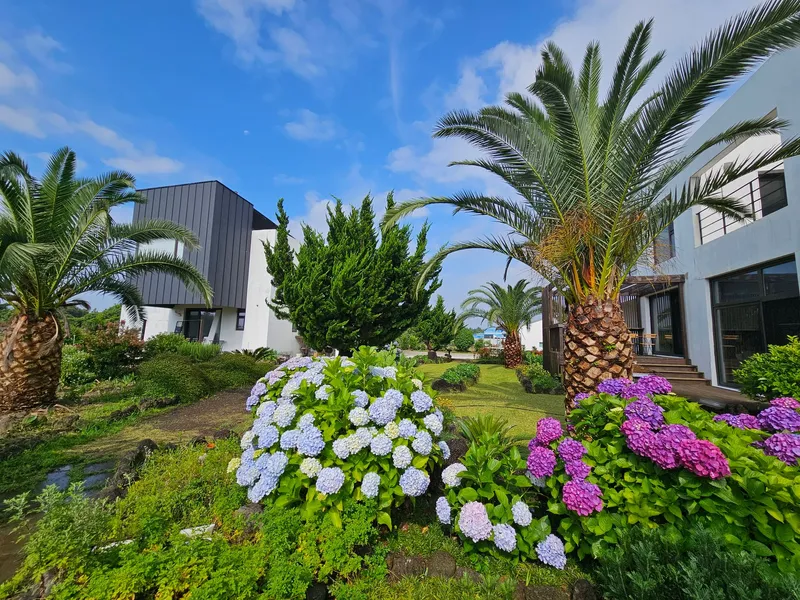 [Seongsan, Seogwipo] 34-pyeong duplex pension with a beautiful garden 28