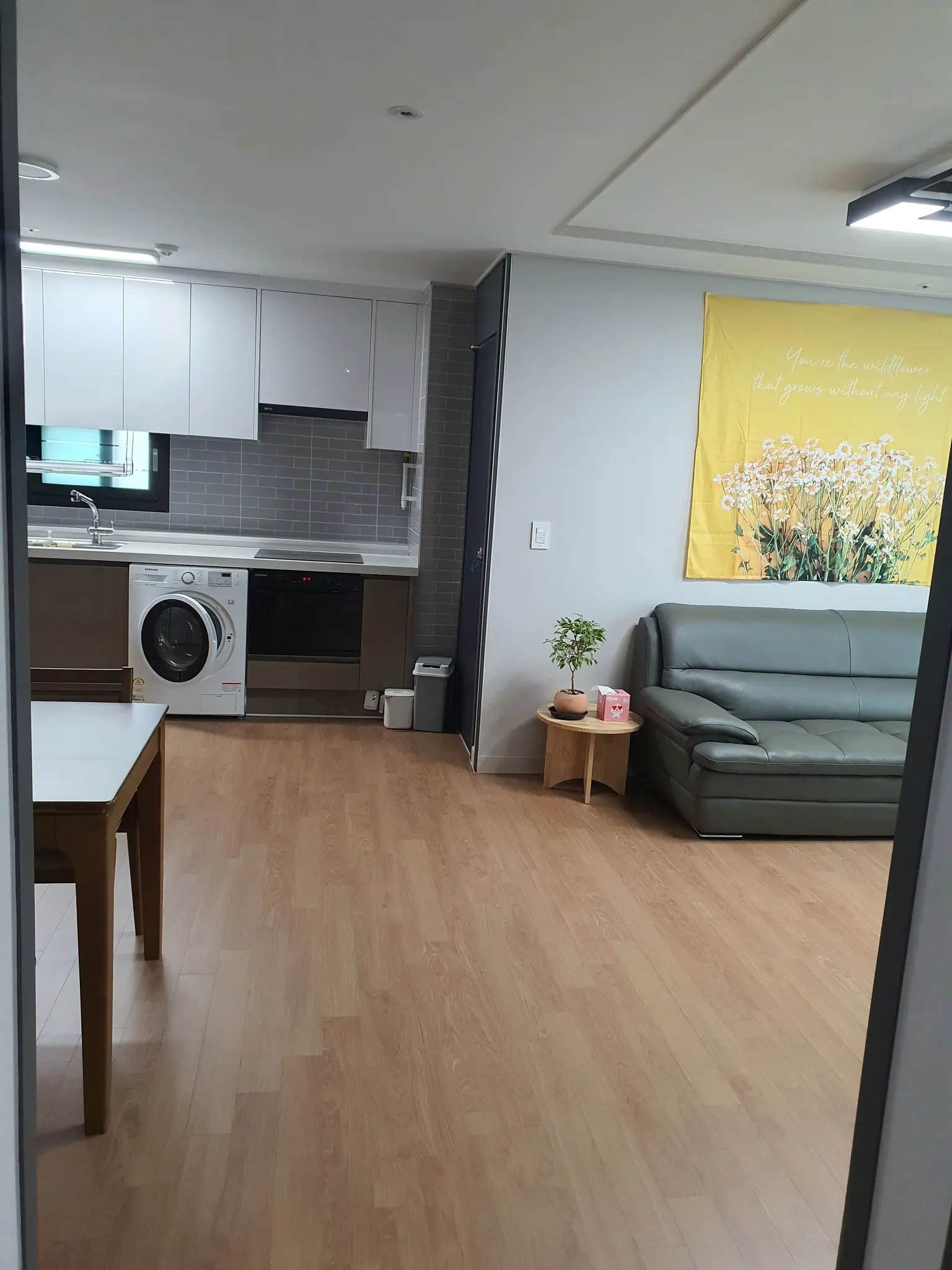 济州朝天 Officetel - main image