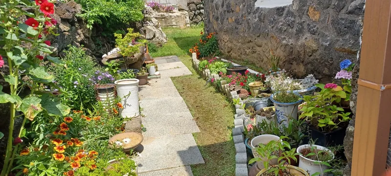 [Daejeong, Seogwipo] Two-room detached house with a yard near Moseulpo Port 5