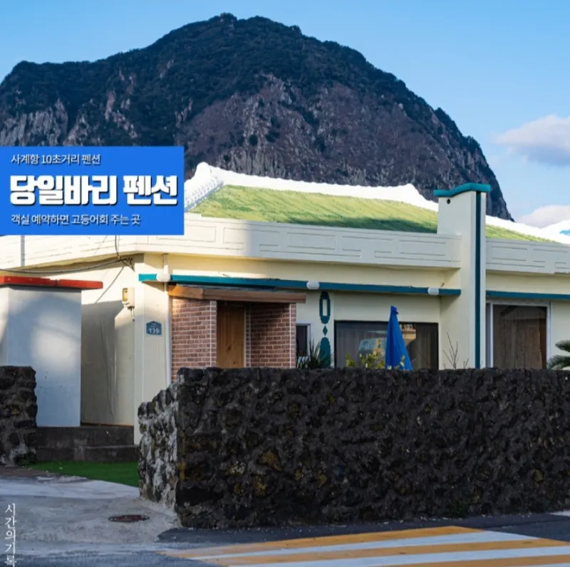 [서귀포 안덕] 마당과 돌담 바다뷰를 한눈에 볼수있는 투룸 독채 [풍경룸] 35