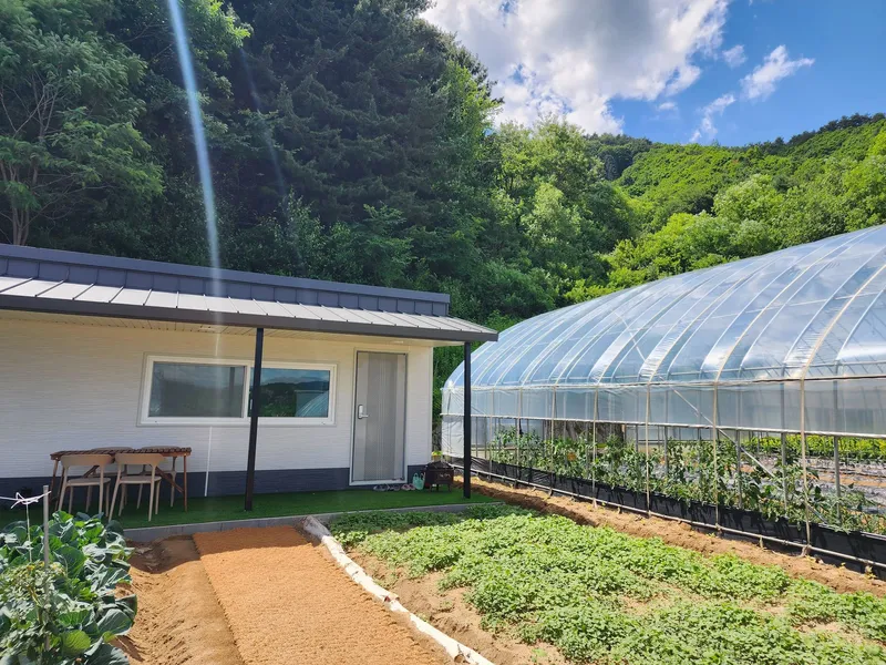[Pyeongchang] A detached house in the forest with a yard filled with stars at 700m above sea level/Families with young children welcome 9