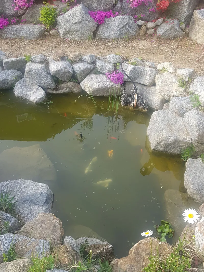 [Yangyang] Private house, 10 minutes walk from Hajodae Beach, private barbecue, large yard 17