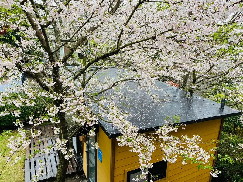 [Seongsan, Seogwipo] Forest Garden Jeju Trees and Birdsong Healing Emotional Accommodation 25