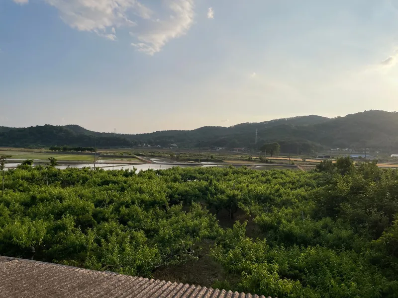 [경북 청도] 잔디마당 독채 숙소, 대구근교, 애견동반가능 46
