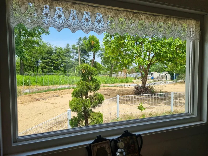 [Gangneung] Healing in a quiet countryside #Country life #Yard #Stone wall fish annex 35