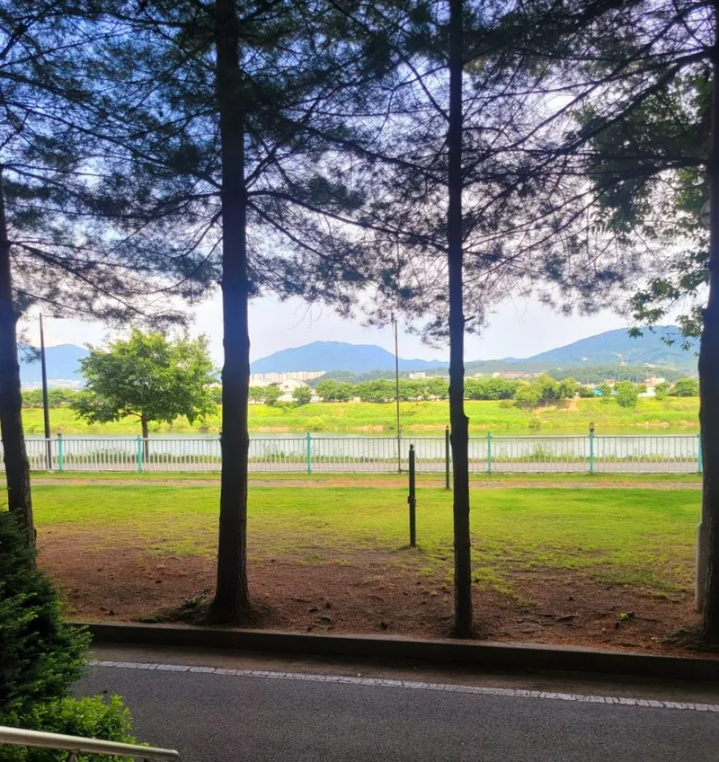 [충북 충주] 강이 보이는 아늑한 원룸아파트 12