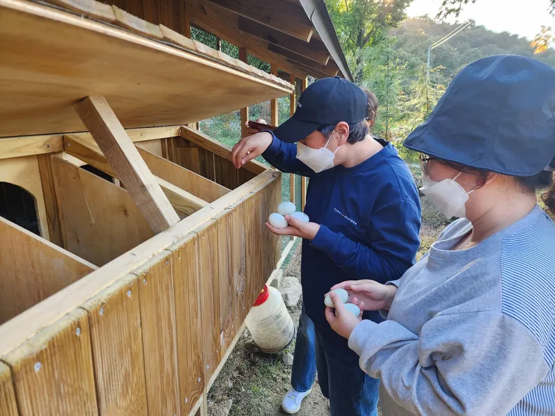 [Buyeo] Buyeo, South Chungcheong Province: Countryside Duplex Guesthouse #Forest #Duplex #Yard #Valley #HealingFarm 33