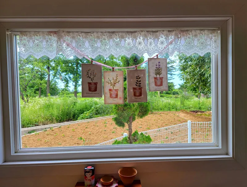 [Gangneung] Healing in a quiet countryside #Country life #Yard #Stone wall fish annex 25