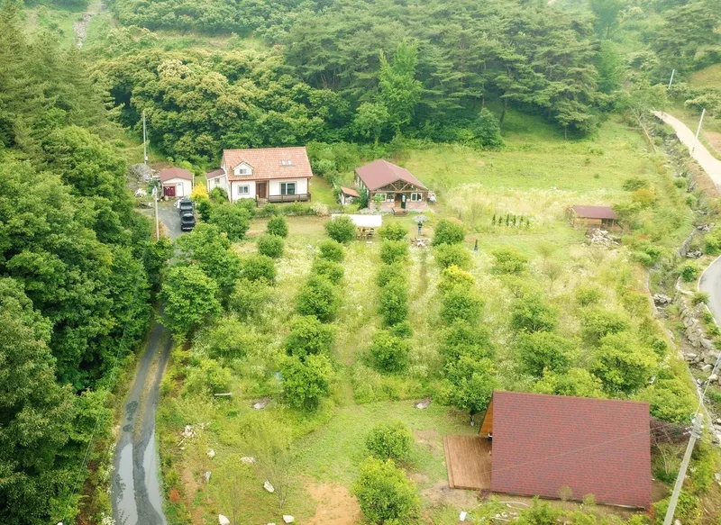 [Buyeo] Buyeo, South Chungcheong Province: Countryside Duplex Guesthouse #Forest #Duplex #Yard #Valley #HealingFarm 35