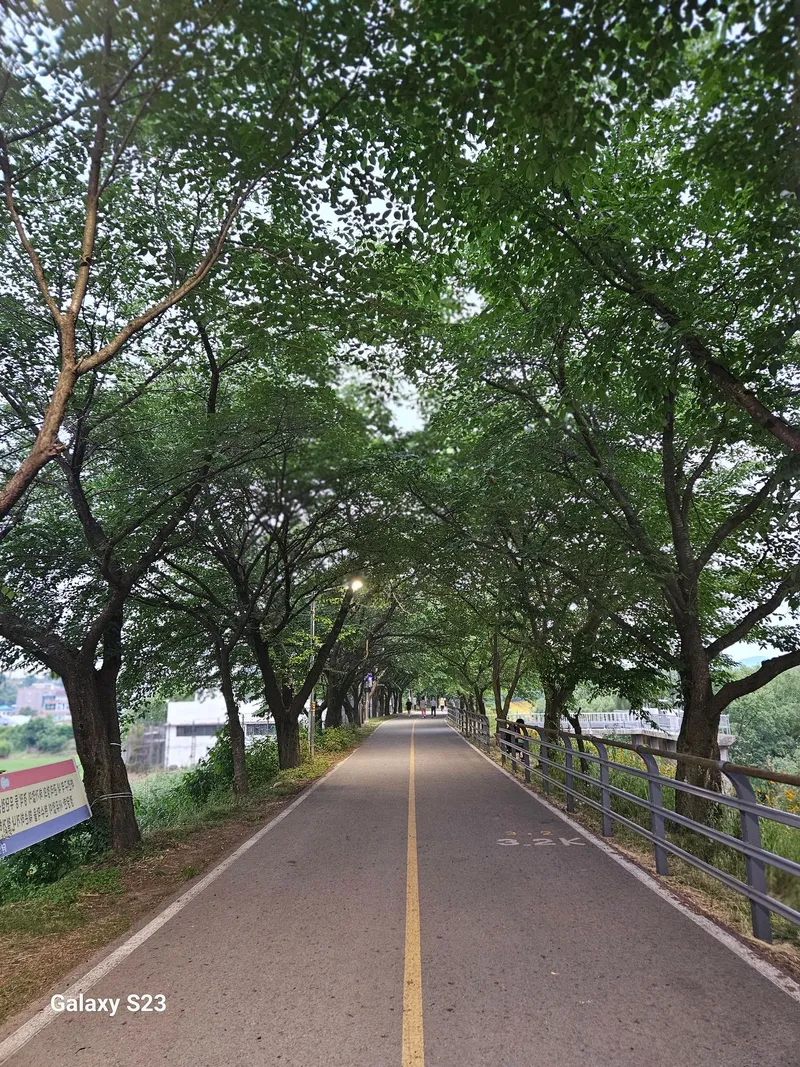 [경기 양평] 갈산공원 근처 신축쓰리룸아파트 28