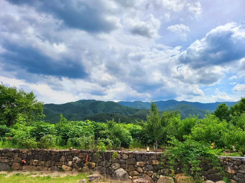 [Gangneung] Healing in a quiet countryside #Country life #Yard #Stone wall fish annex 21