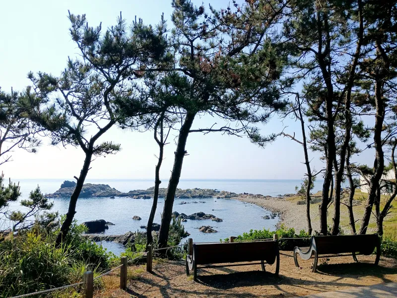 [Gijang, Busan][Dongbusan Gijang] Ocean view detached one room 11