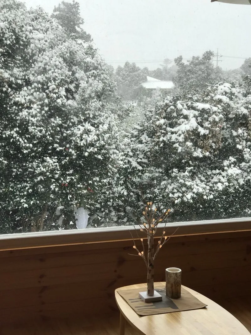 [Seongsan, Seogwipo] Forest Garden Jeju Trees and Birdsong Healing Emotional Accommodation 12