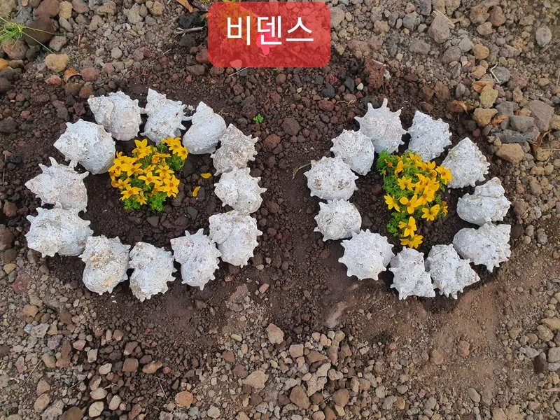 [제주 조천] 1만평 감귤정원 속 한라산을 품은 제주 힐링 2층 투룸 94