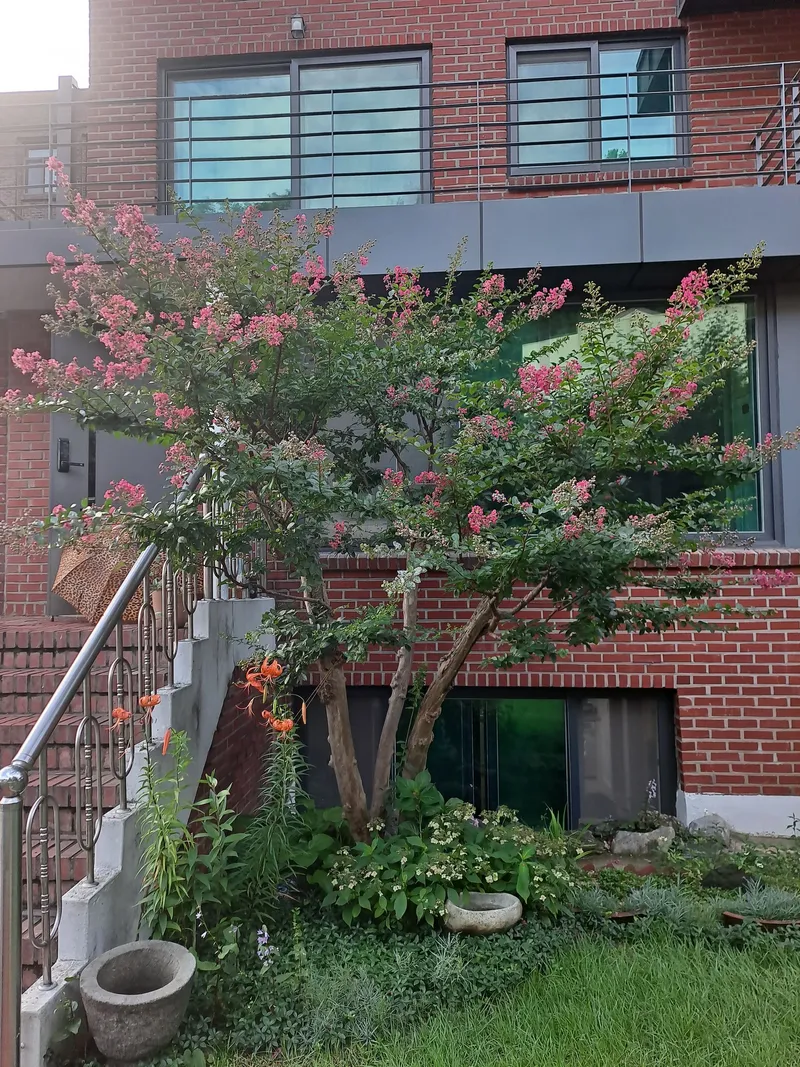 [서울 종로][종로 부암동]마당 이쁘고 루프탑에서 북악산뷰 (3층전체) 28