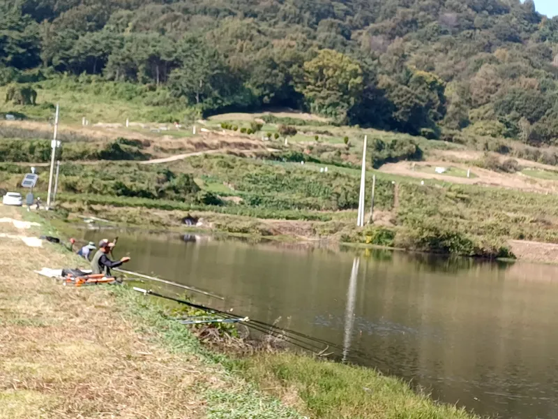 [Gochang] Gongeum green barley field, Seonunsan Mountain, 150 pyeong vegetable garden near Gusipo. Included 21