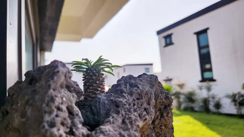 [Hallim, Jeju] 5 minutes by car from Hyeopjae, Geumneung, and Biyangdo, a two-story, stone-walled townhouse 74