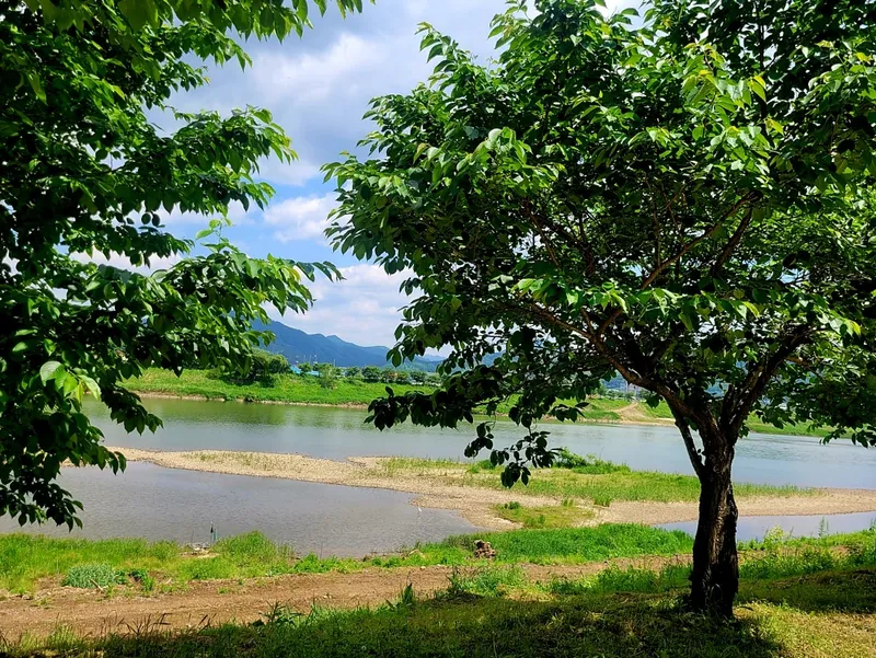 [충북 충주] 강이 보이는 아늑한 원룸아파트 16