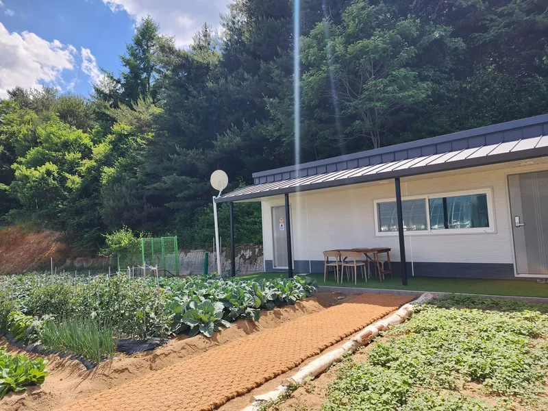 [Pyeongchang] A detached house in the forest with a yard filled with stars at 700m above sea level/Families with young children welcome 6
