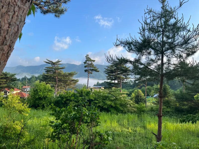 [Pyeongchang] Wildflower Friends_Bongpyeong Forest Complex One-Room 101 21