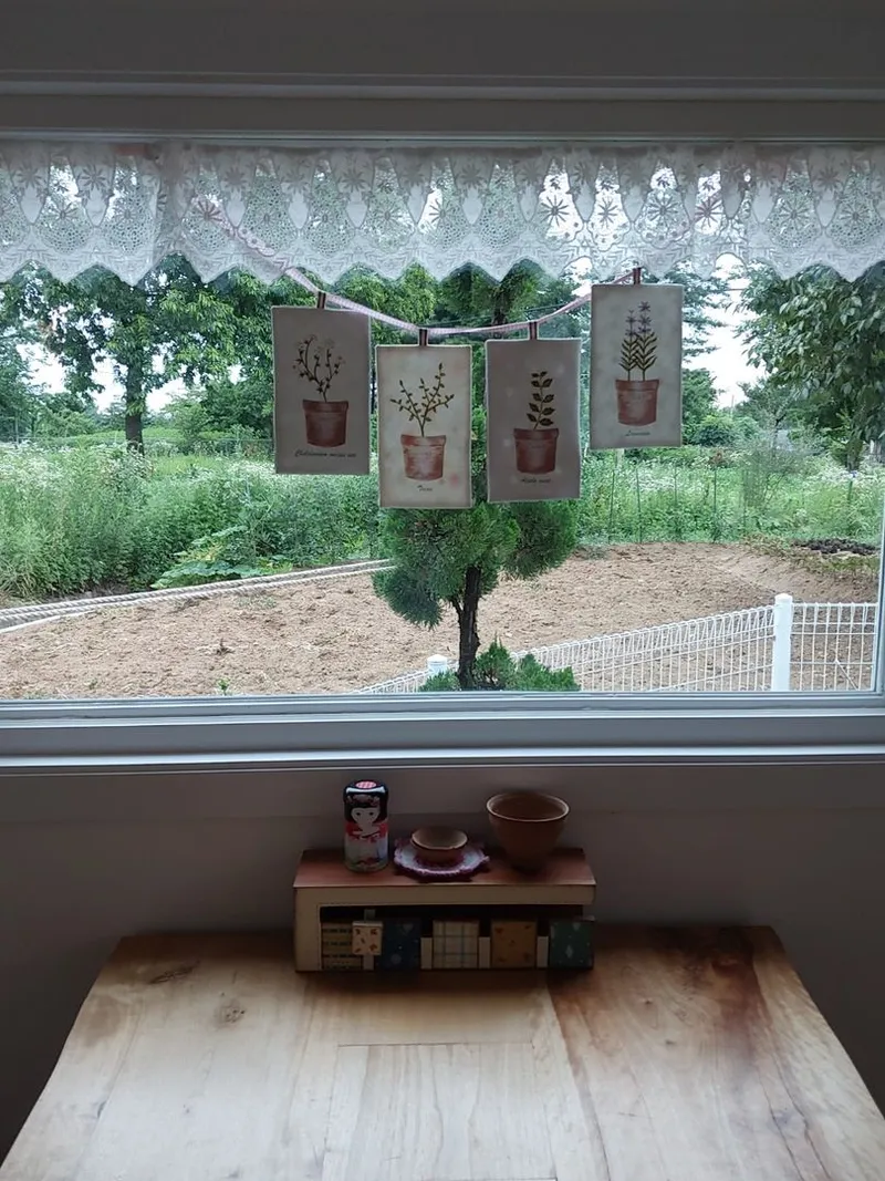 [Gangneung] Healing in a quiet countryside #Country life #Yard #Stone wall fish annex 38