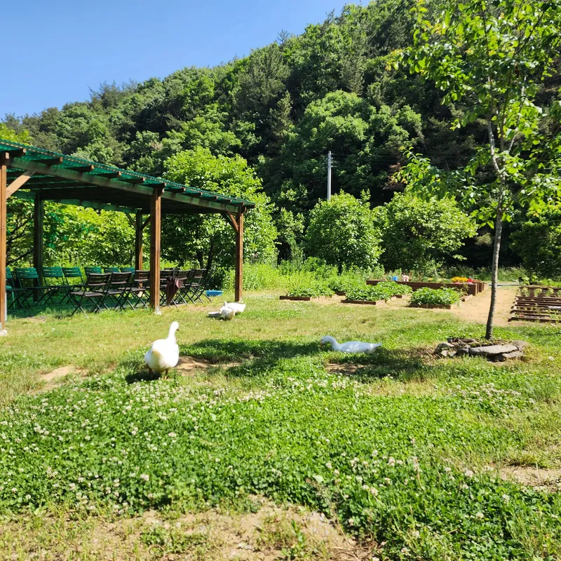 [Buyeo] Buyeo, South Chungcheong Province: Countryside Duplex Guesthouse #Forest #Duplex #Yard #Valley #HealingFarm 23