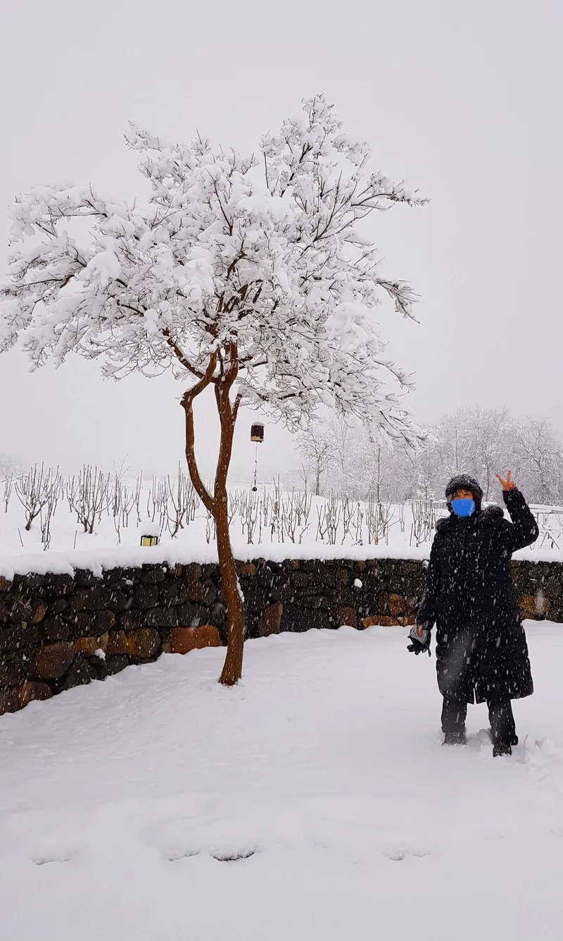[Gangneung] Healing in a quiet countryside #Country life #Yard #Stone wall fish annex 54