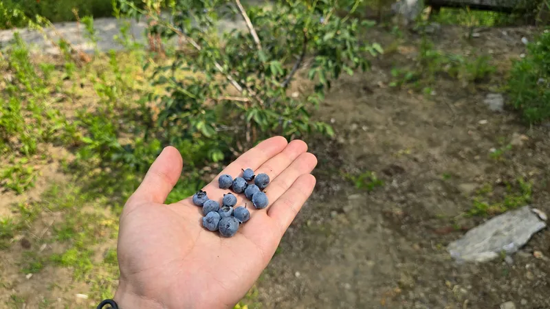 [충남 금산] 인스타 감성이 아닌 흔한 독채 시골집 42