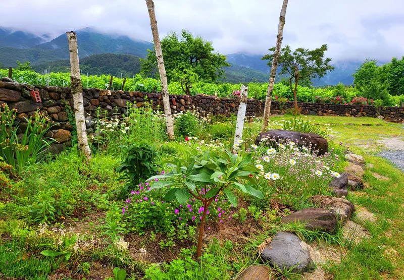 [Gangneung] Healing in a quiet countryside #Country life #Yard #Stone wall fish annex 13