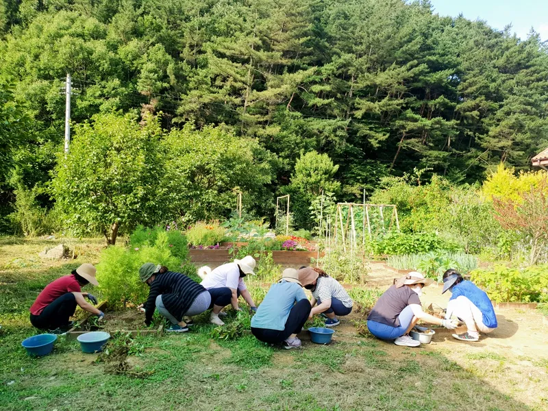 [Buyeo] Buyeo, South Chungcheong Province: Countryside Duplex Guesthouse #Forest #Duplex #Yard #Valley #HealingFarm 21