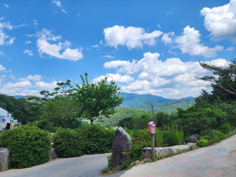 [Pyeongchang] A detached house in the forest with a yard filled with stars at 700m above sea level/Families with young children welcome 7