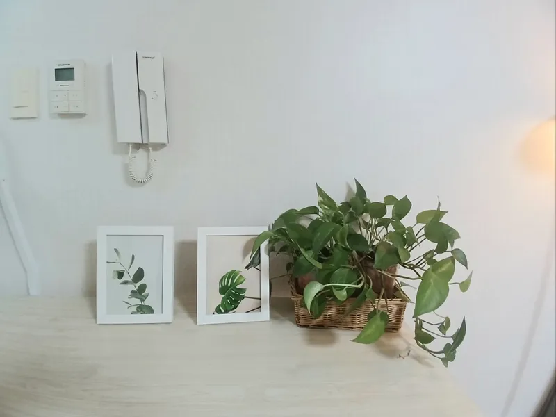[Gunsan] A detached one-room apartment with a good location and a playground-like feel 14