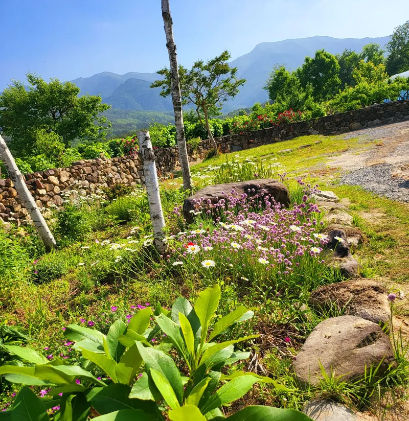 [Gangneung] Healing in a quiet countryside #Country life #Yard #Stone wall fish annex 14