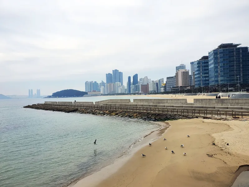 [Haeundae, Busan] High-rise two-room apartment 1 minute from the beach 27