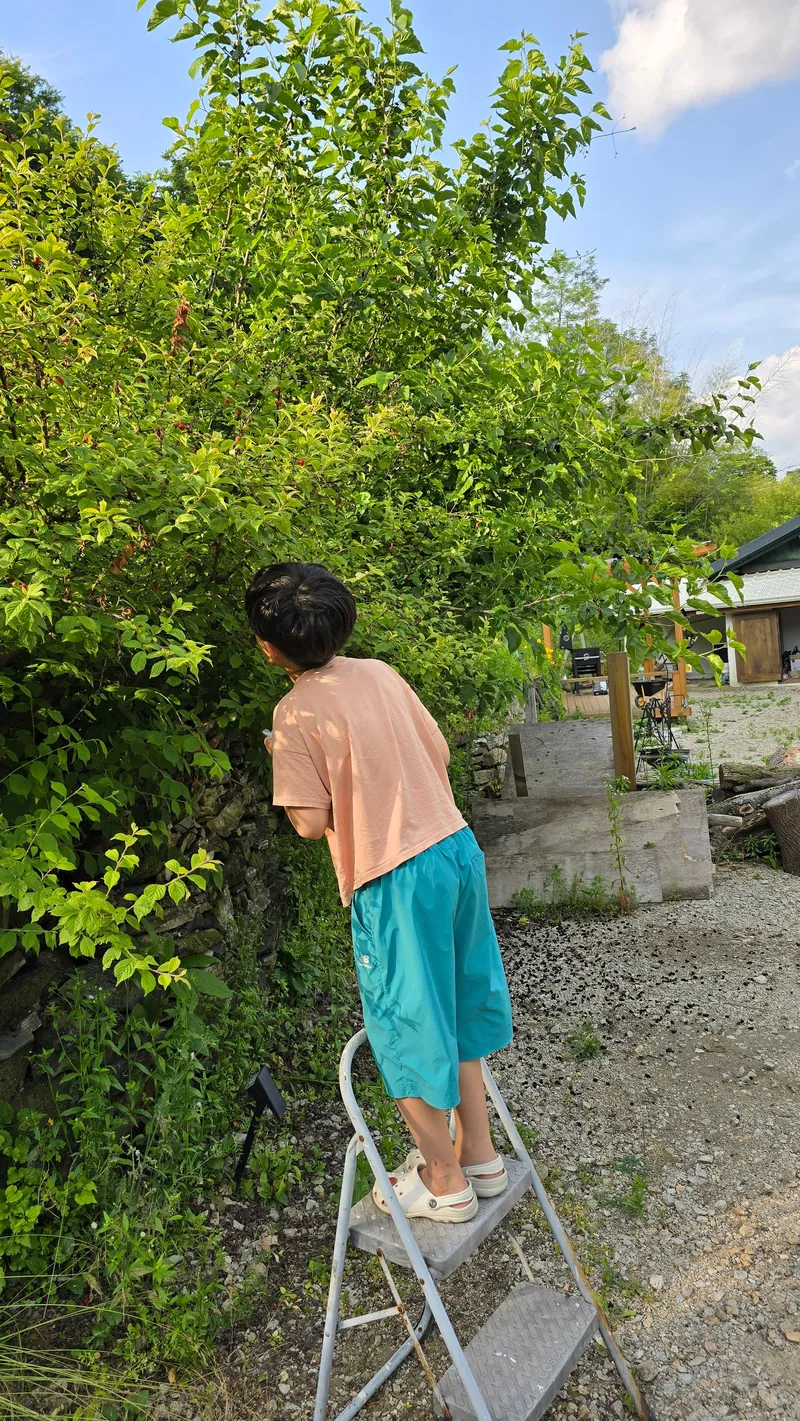[충남 금산] 인스타 감성이 아닌 흔한 독채 시골집 47