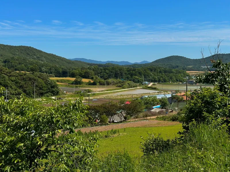 [Gochang] Gongeum green barley field, Seonunsan Mountain, 150 pyeong vegetable garden near Gusipo. Included 11