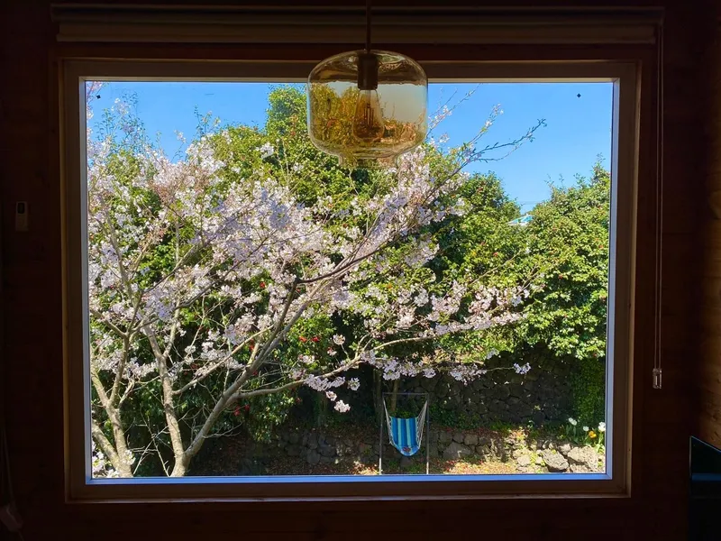 [Seongsan, Seogwipo] Forest Garden Jeju Trees and Birdsong Healing Emotional Accommodation 18
