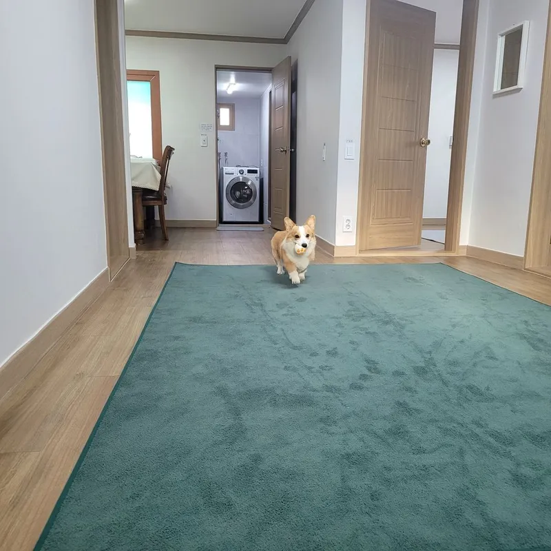 [강원 양양] - 대가족 독채, 애견 동반 가능 , 양양 맛집 도보 10분 8