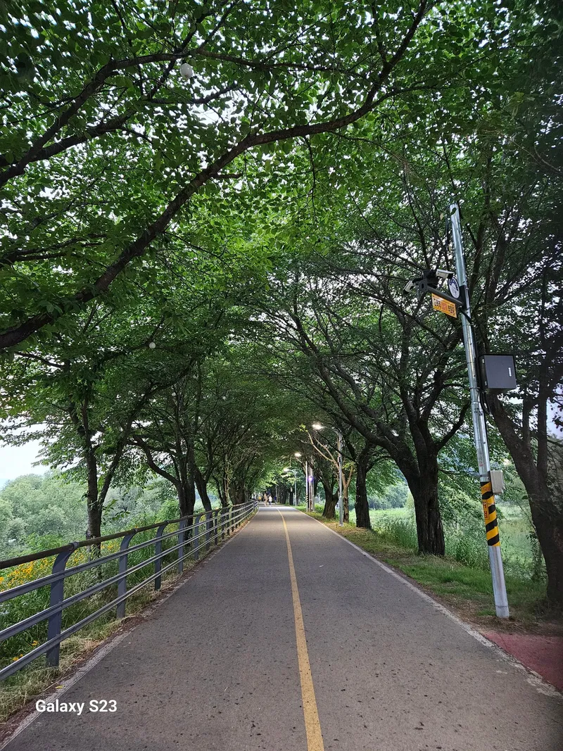 [경기 양평] 갈산공원 근처 신축쓰리룸아파트 10