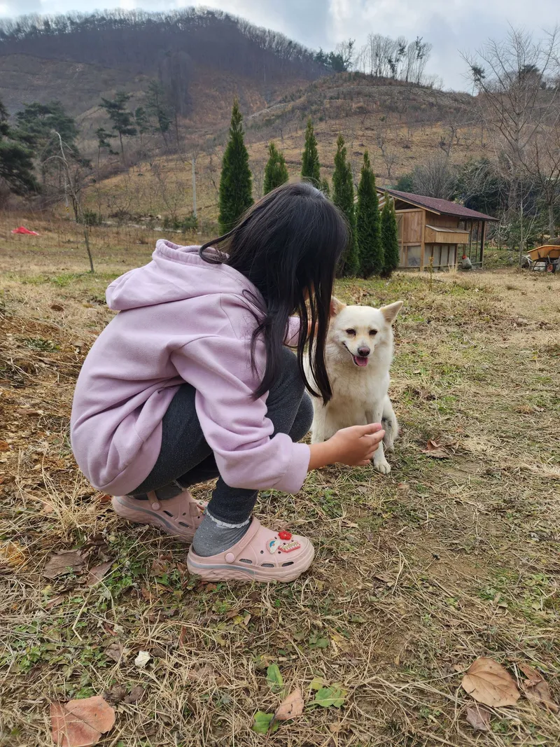 [Buyeo] Buyeo, South Chungcheong Province: Countryside Duplex Guesthouse #Forest #Duplex #Yard #Valley #HealingFarm 29