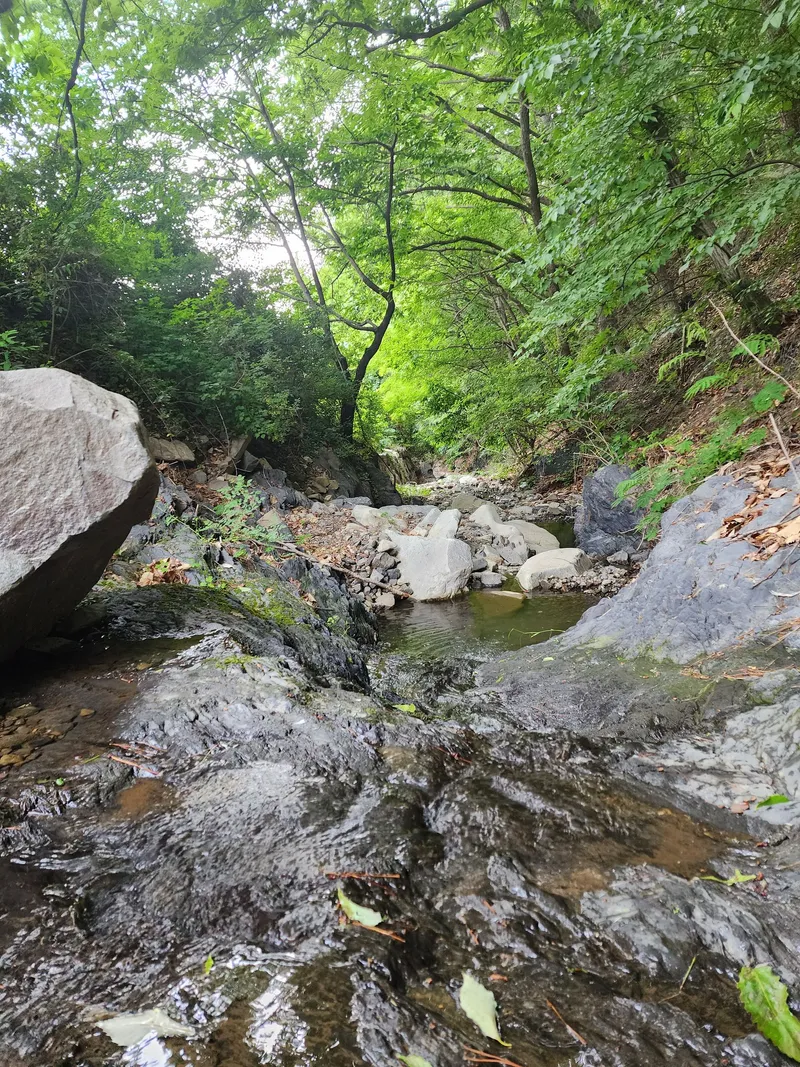 [Buyeo] Buyeo, South Chungcheong Province: Countryside Duplex Guesthouse #Forest #Duplex #Yard #Valley #HealingFarm 19