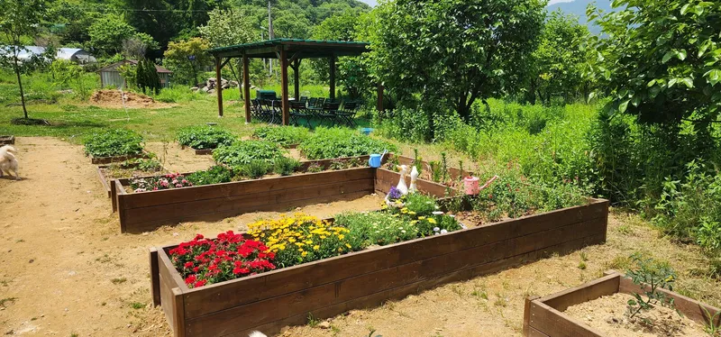 [Buyeo] Buyeo, South Chungcheong Province: Countryside Duplex Guesthouse #Forest #Duplex #Yard #Valley #HealingFarm 24