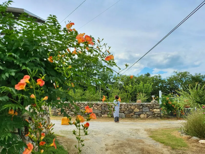 [Gangneung] Healing in a quiet countryside #Country life #Yard #Stone wall fish annex 32