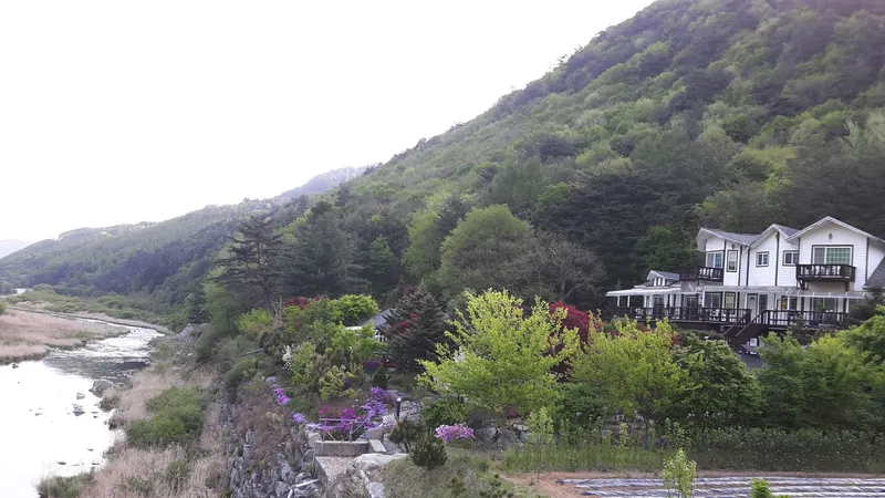 [Pyeongchang] Geumdangsan Mountainside Geumdang Valley Clean Highland Resort Pension: Azena 13