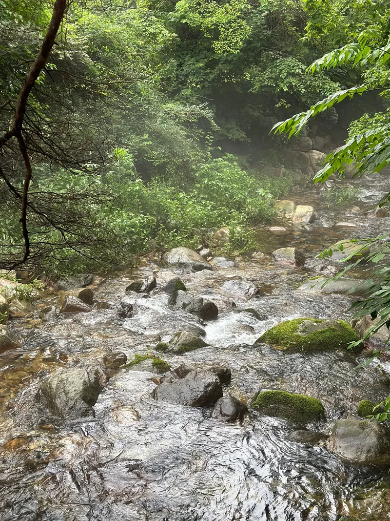 [경기 양평] 계곡이 보이는 투룸 애견동반 가능 10