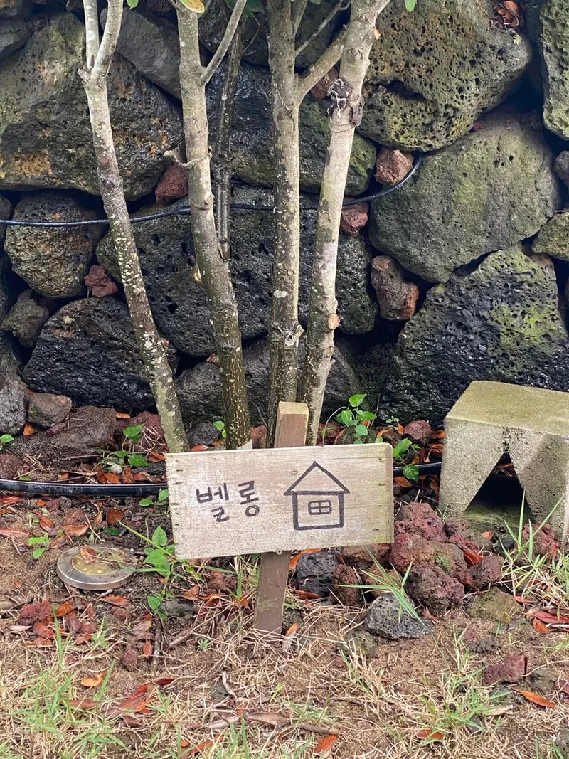 [제주 구좌][제주 세화] #마당있는 복층 독채#사계절 온수 자쿠지#먼바다뷰 48