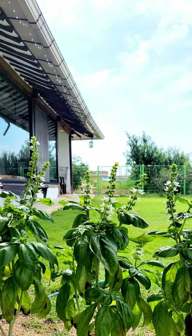 [Buyeo][Country Living] #Lawn Yard House #Country Vacation #Great Value #Healing Accommodation #Pets 15