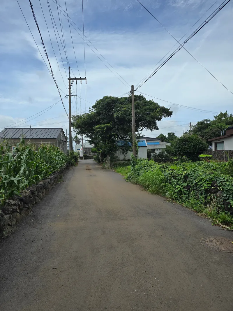 [Seongsan, Seogwipo][Seogwipo Shinsan] Accommodation with no utility bills and vehicle provided 200m from the beach 30