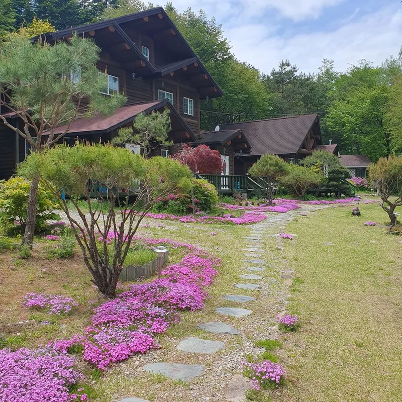 [Pyeongchang] Clean, independent streamside log cabin special pension Yanggwibi 7