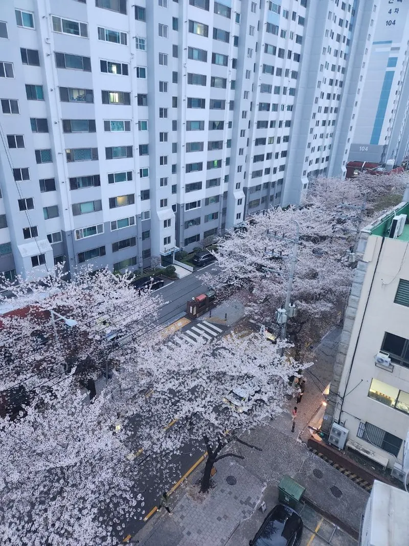[울산 남구] 무거동 울산대인근 아파트형 원룸 5